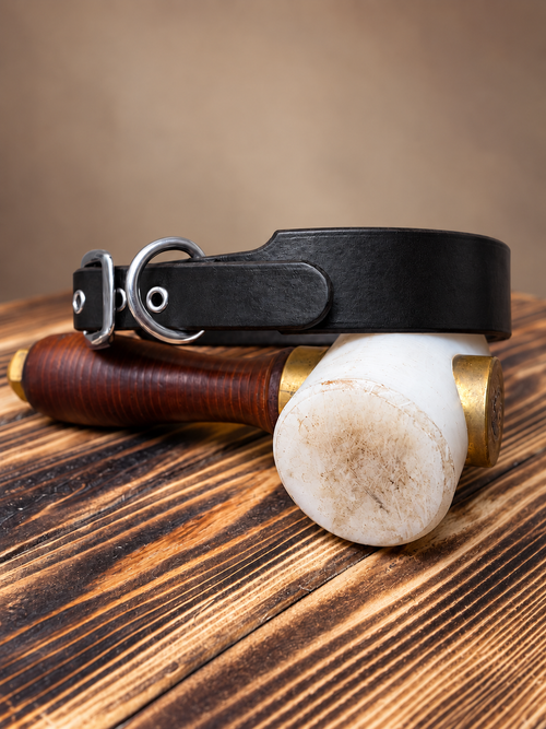 Big Boy Dog Collar